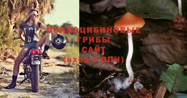 spice Алексин