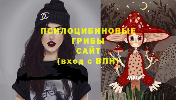 дурь Алексеевка