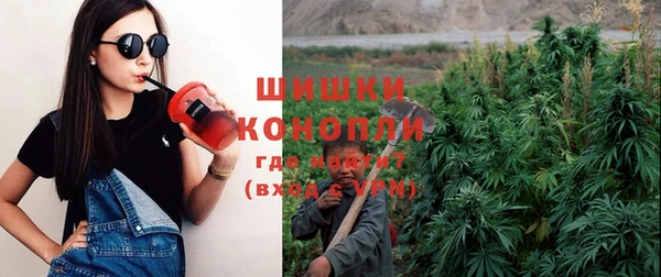 spice Алексин